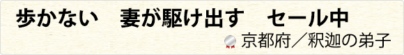 歩かない　妻が駆け出す　セール中　京都府／釈迦の弟子