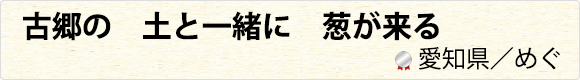 古郷の　土と一緒に　葱が来る　愛知県／めぐ