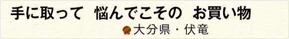 手に取って悩んでこそのお買い物 【大分県・伏竜】