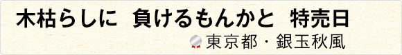 木枯らしに負けるもんかと特売日 【東京都・銀玉秋風】