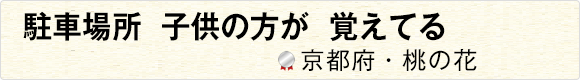 駐車場所子供の方が覚えてる 【京都府・桃の花】
